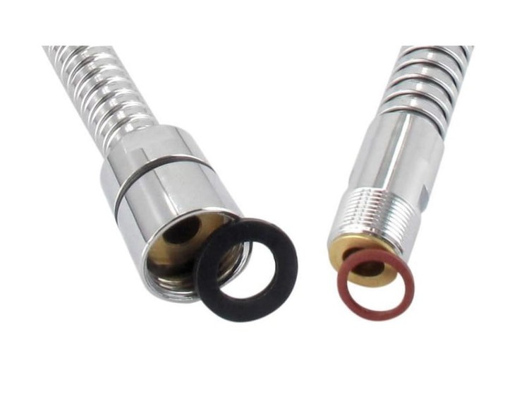 125763_wąż do Blanco Linus, alta.jpg