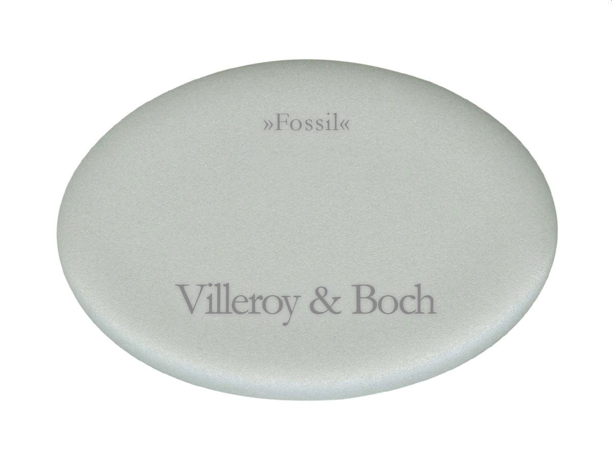 villeroyundboch_fossil.jpg